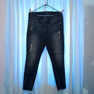 Torrid Premium 3 Button High-Rise Jegging 12R